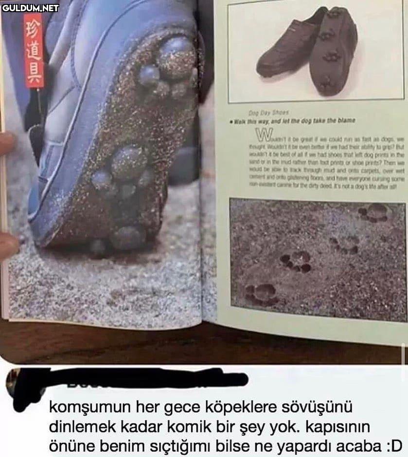 Sizi kafayı yemişsiniz...