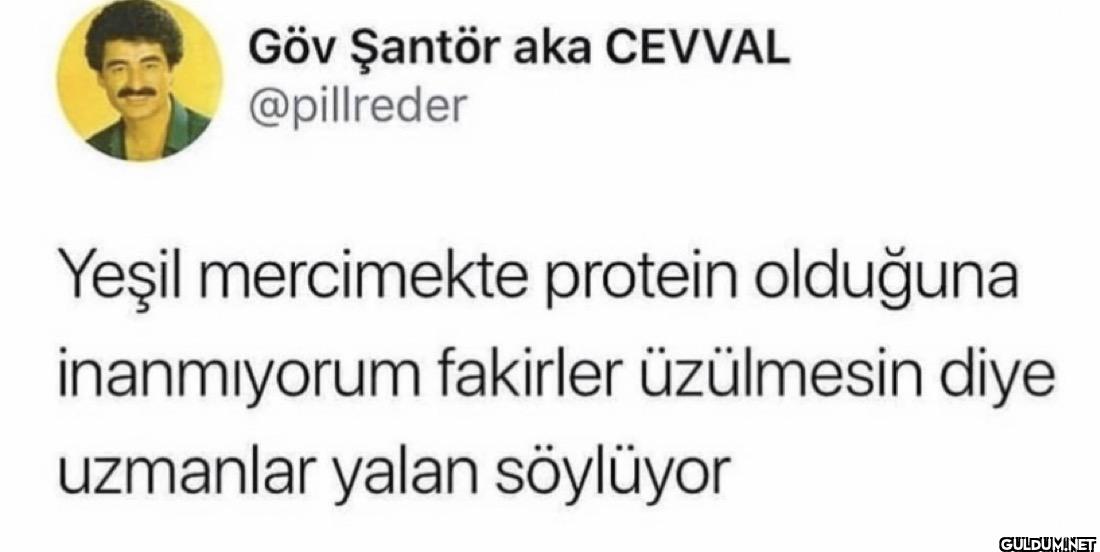 Yeşil mercimekte protein...