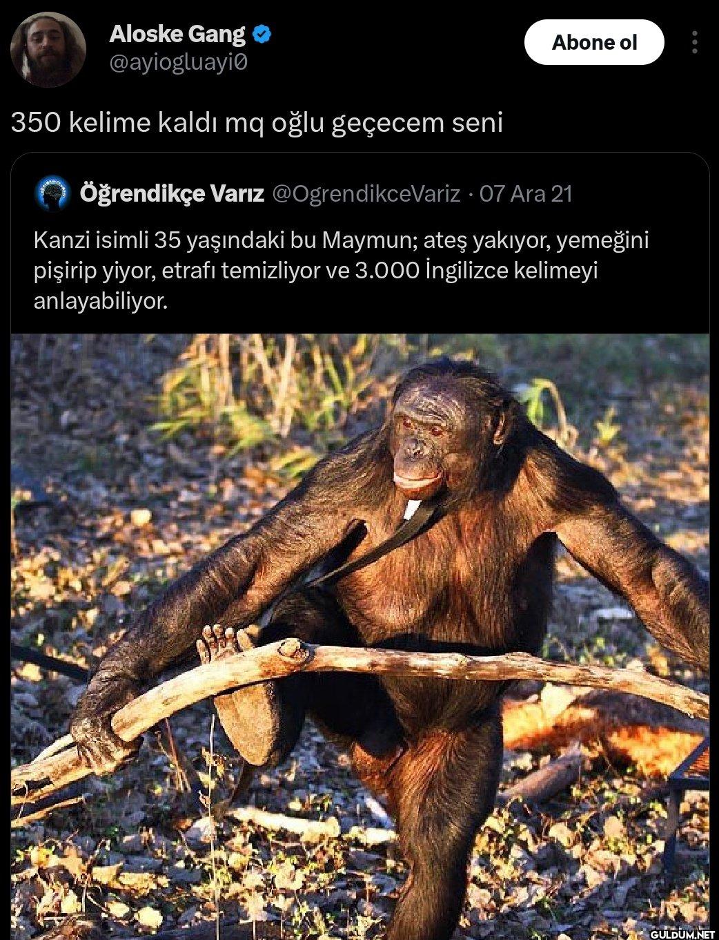 350 kelime kaldı mq oğlu...