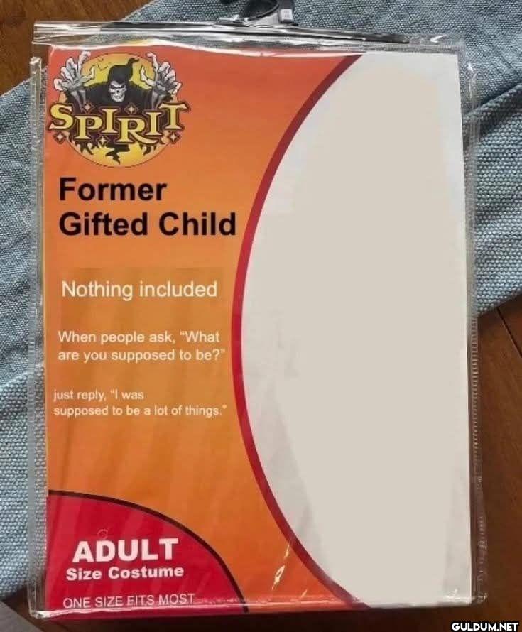 Spipit Former Gifted Child...