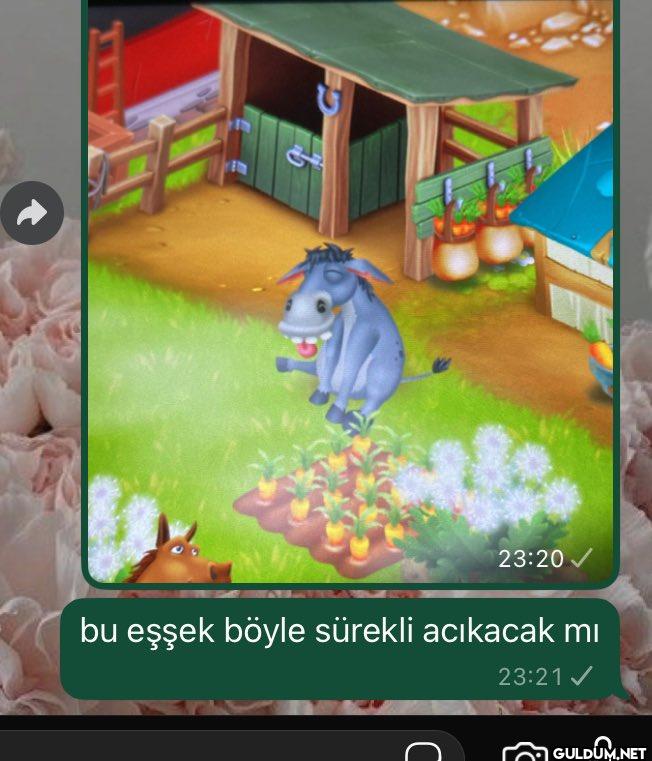 23:20✓ bu eşşek böyle...