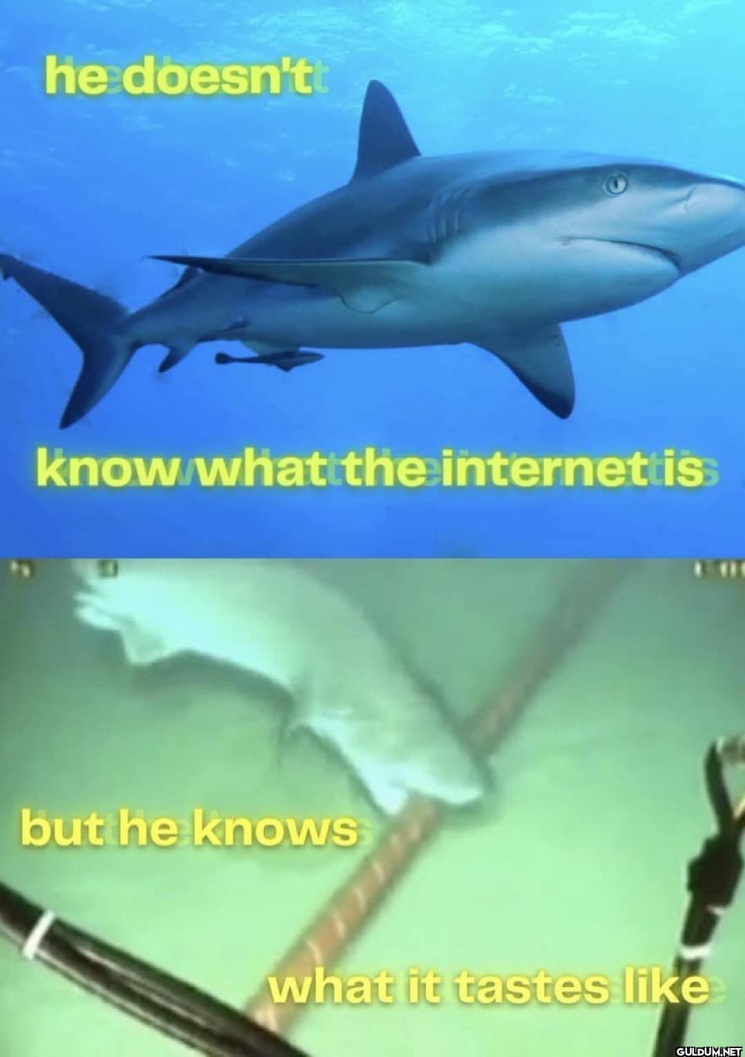 💀    he doesn'tt know what...