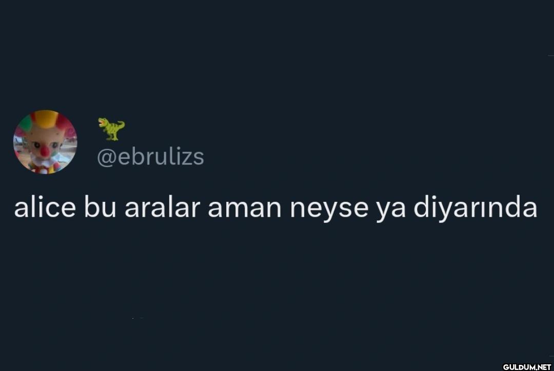 alice bu aralar aman neyse...