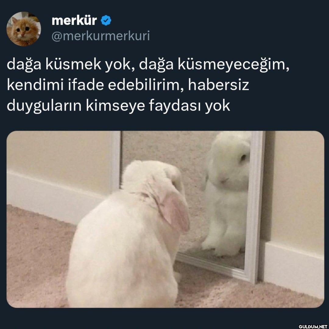 dağa küsmek yok, dağa...
