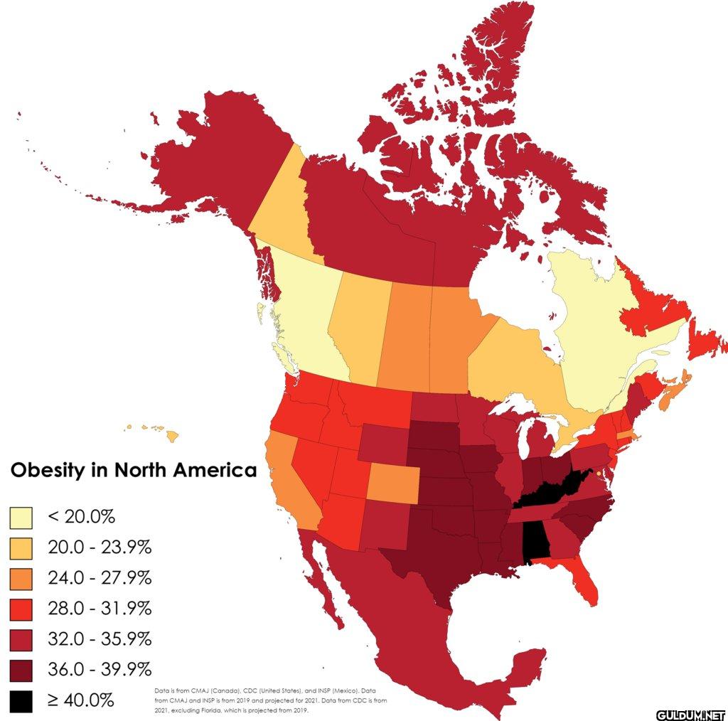 25. Obesity in North...