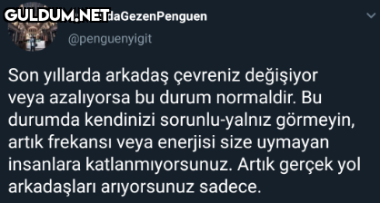 OrmandaGezenPenguen...