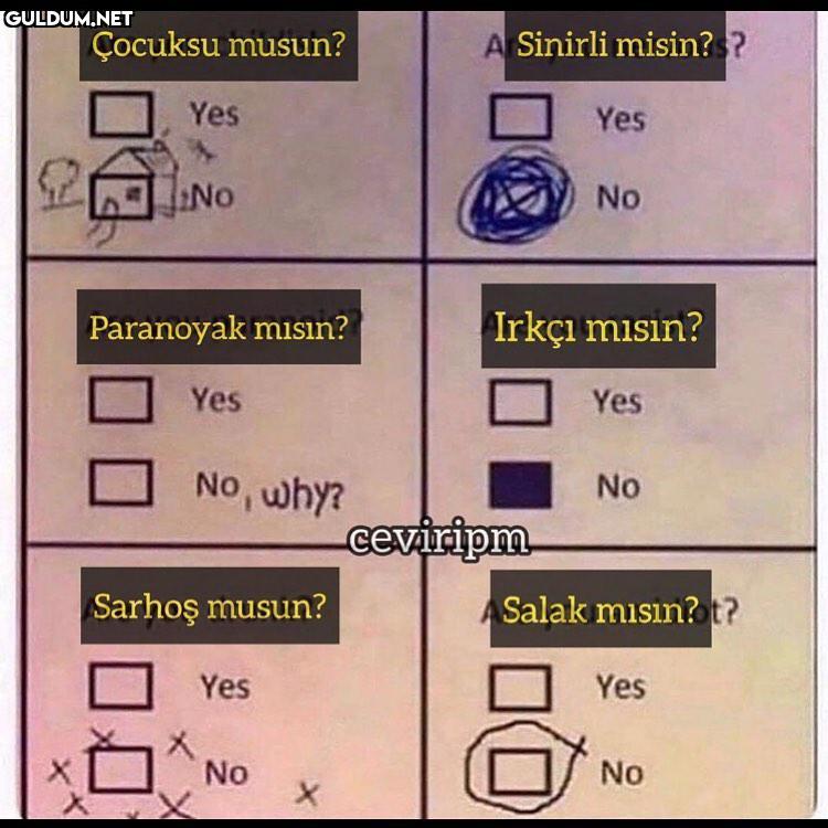 salak mısın Çocuksu musun?...