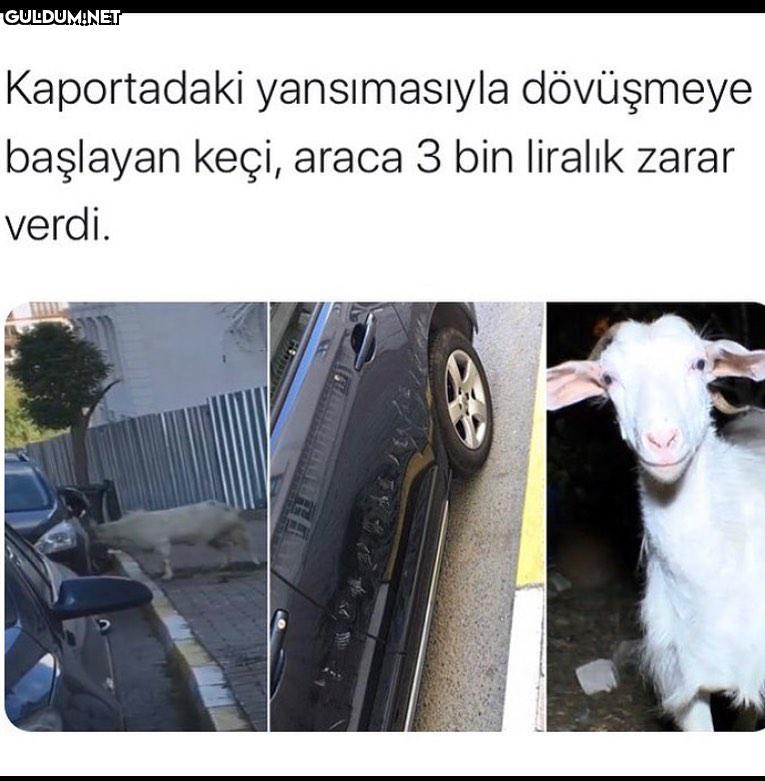 Skdkskajsjsjsksksskdk...