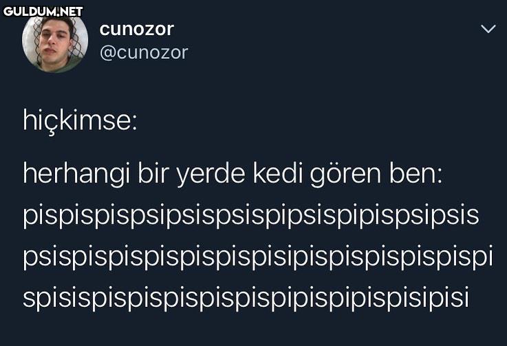 kedileri sevmeden...