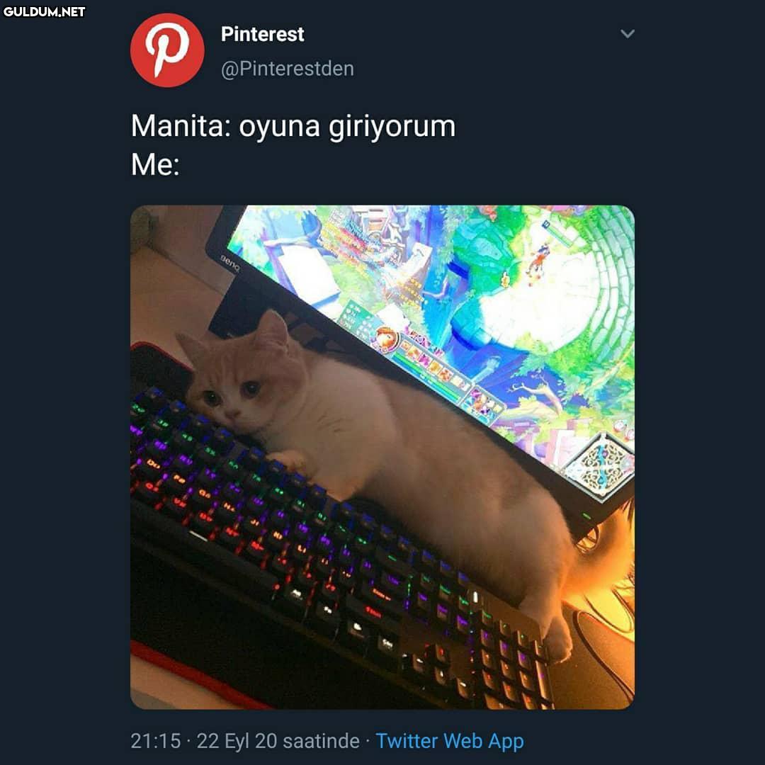 Şöyle bi manita nasip olur...