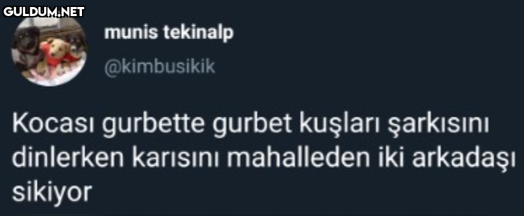 munis tekinalp @kimbusikik...