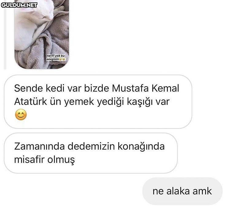 atamın üstünden dönen...