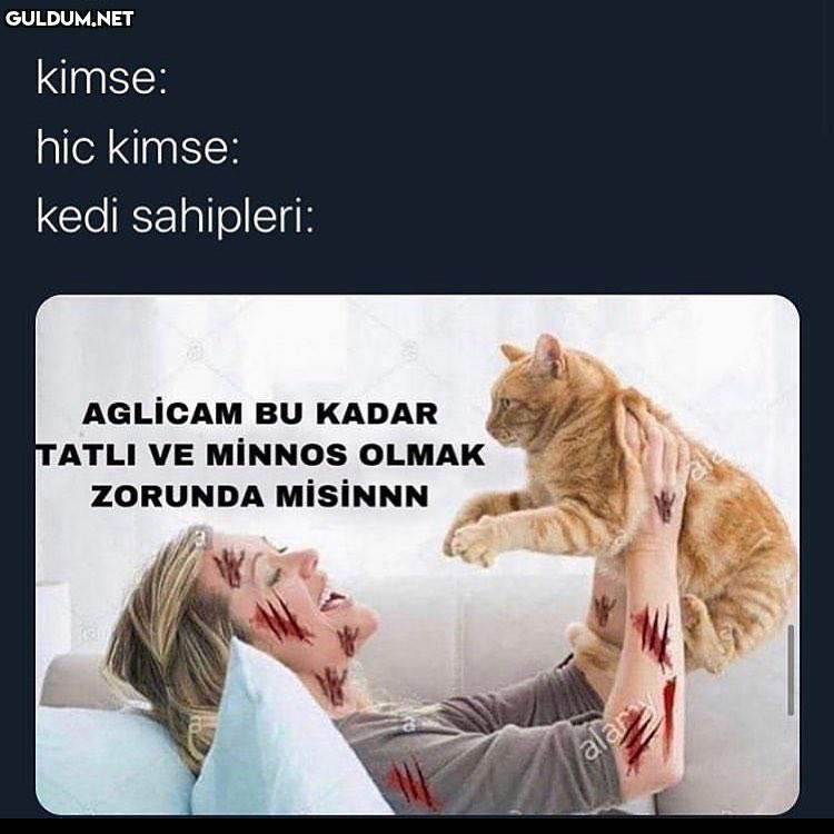 Gülü seven dikenine...