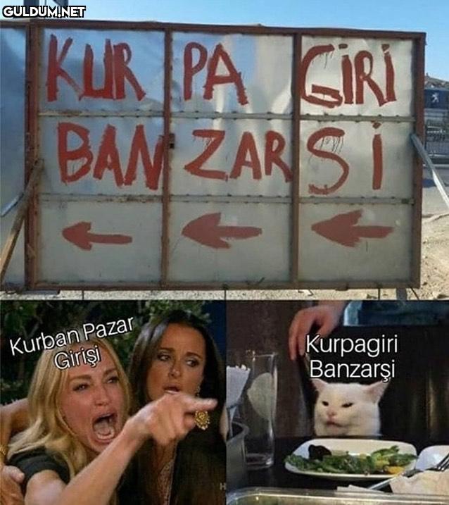 yarım saat anlamaya...