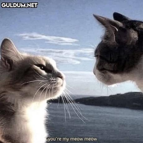 etiketleme postu :)...
