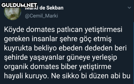 Marki de Sekban...