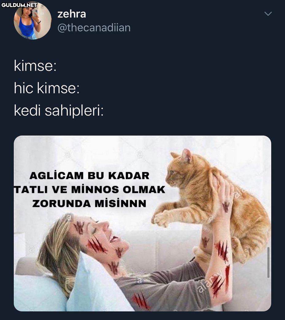 zehra @thecanadiian kimse:...