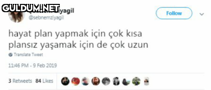 Şebnem Ziyagil...