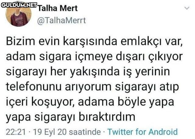 Talha Mert @TalhaMerrt...