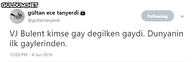 gültan ece tanyerdi ô...