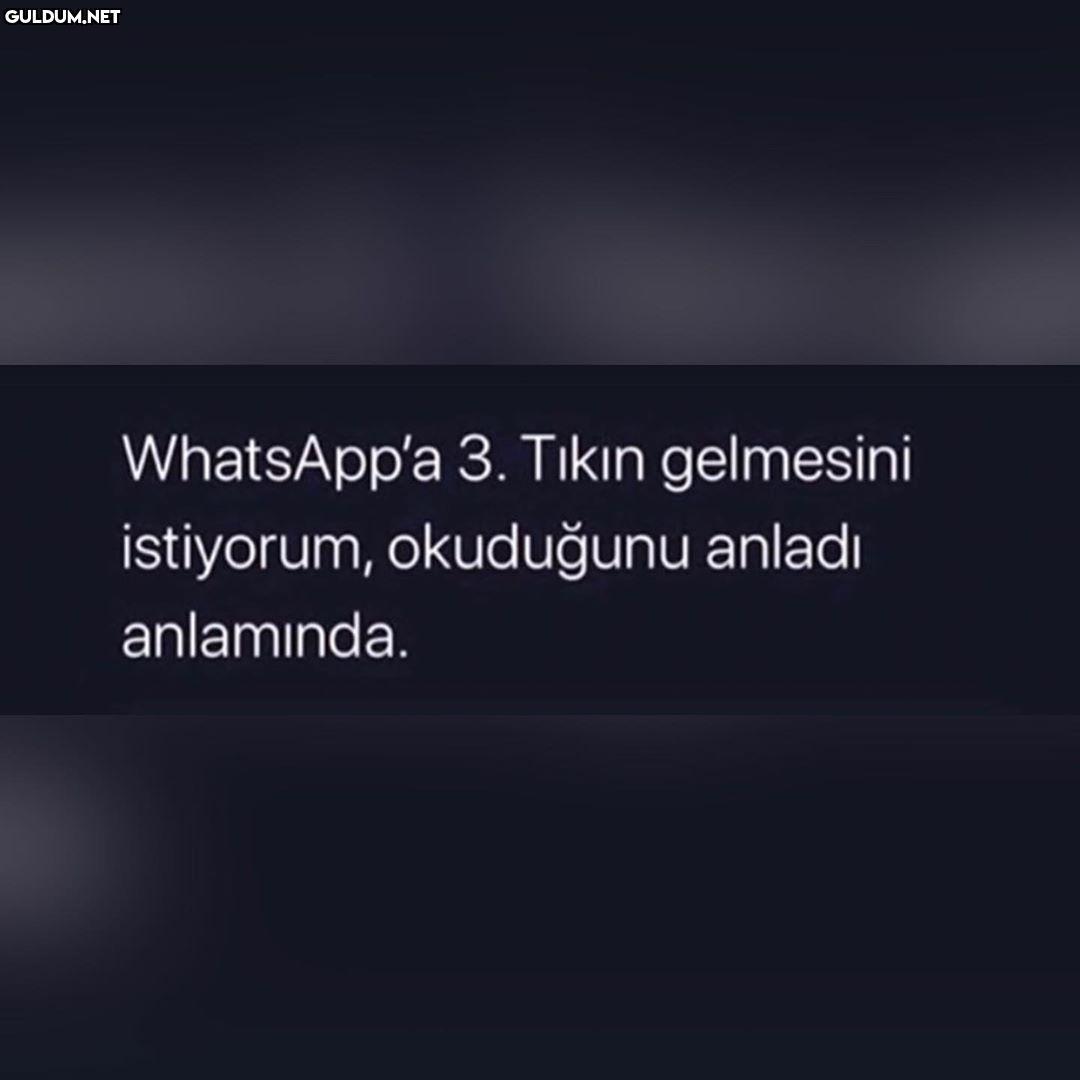 WhatsApp'a 3. Tıkın...