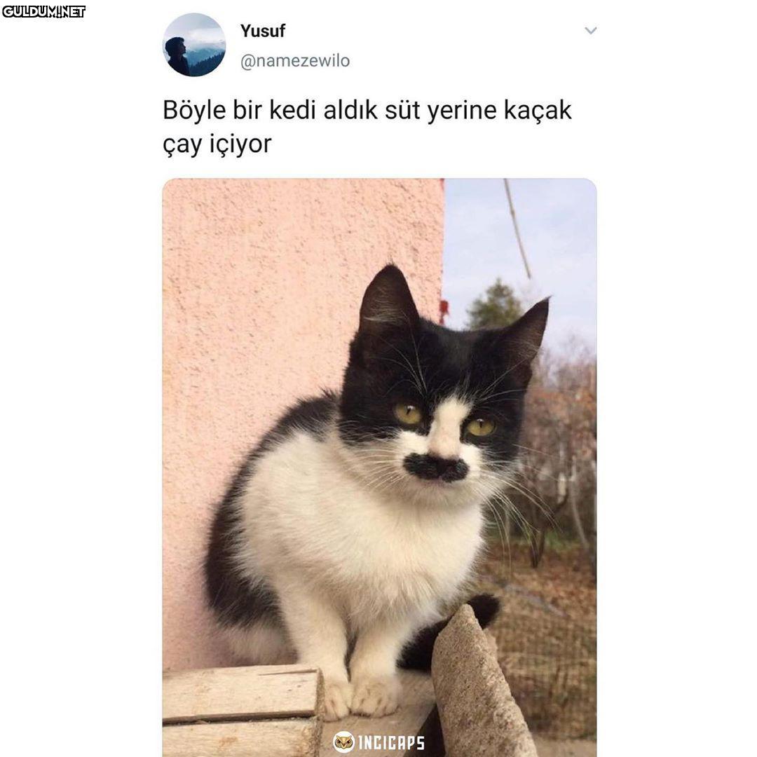Yusuf @namezewilo Böyle...