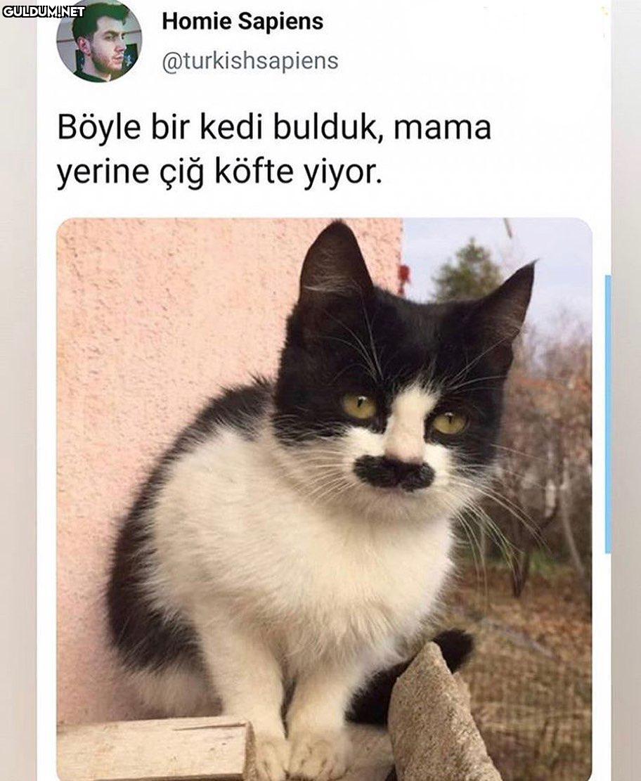hayırrr ibrahim tatlıses...