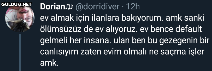 Dorian @dorridiver · 12h...