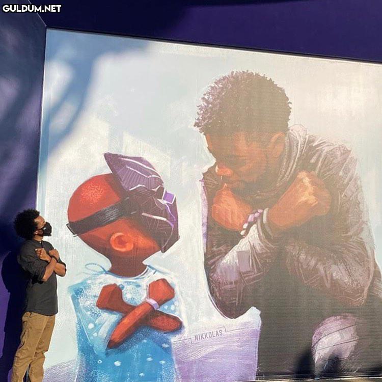 disneyland’e chadwick...