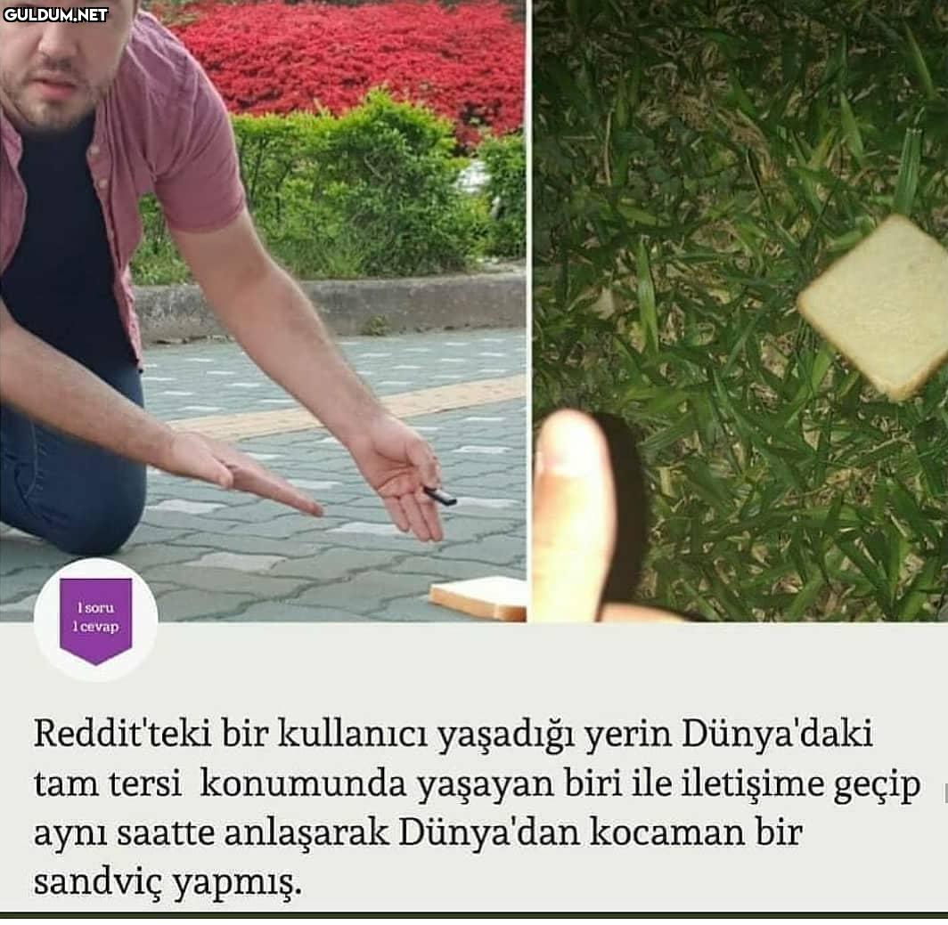 Çok iyi xmzkxnxlxmzl I...
