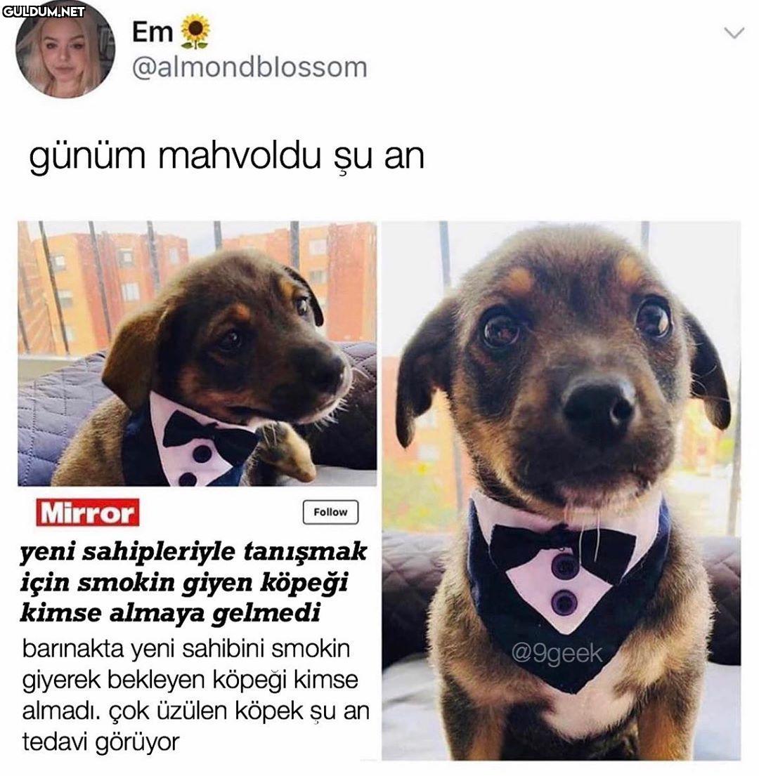 nasıl üzdünüz şunu ya ayıp...