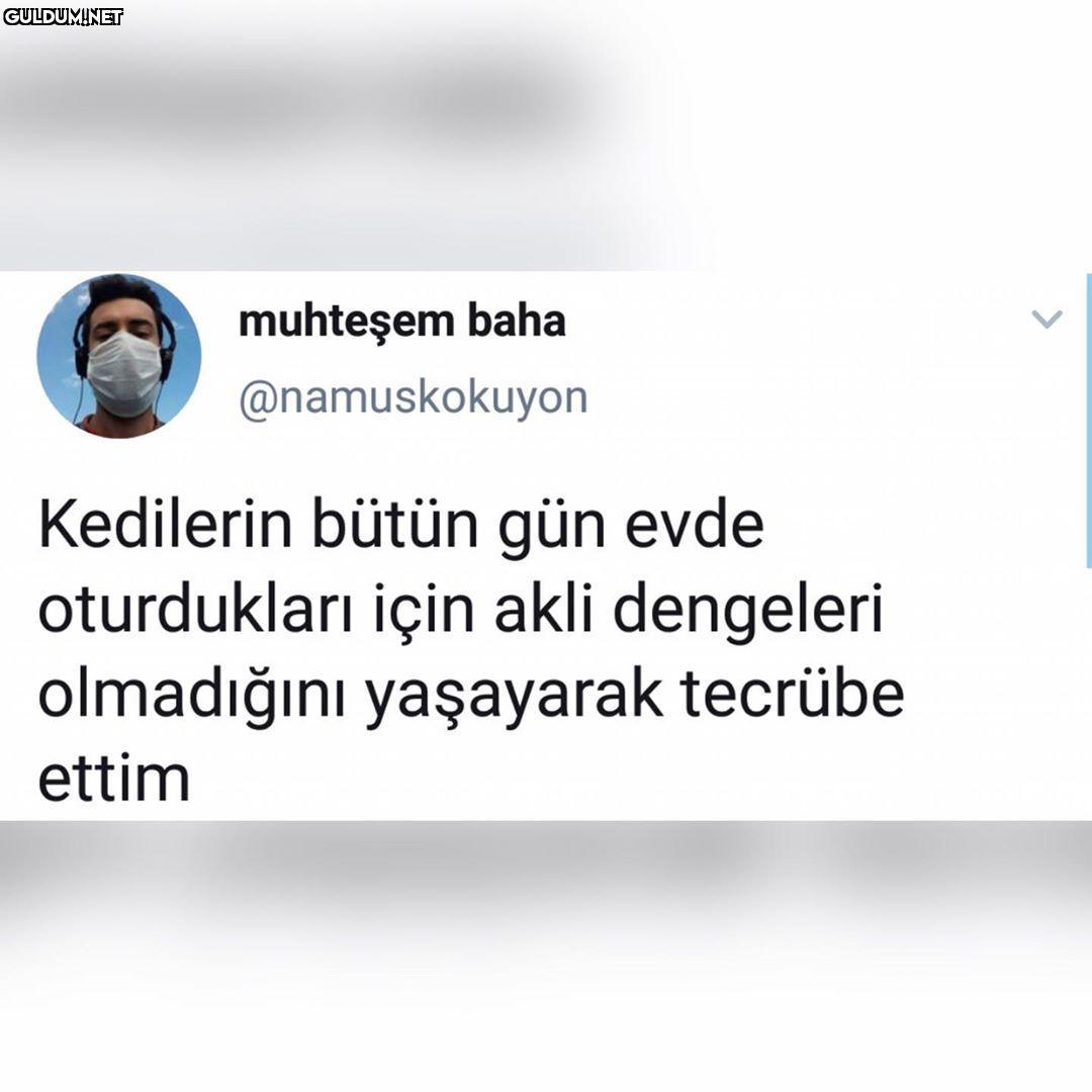 muhteşem baha...