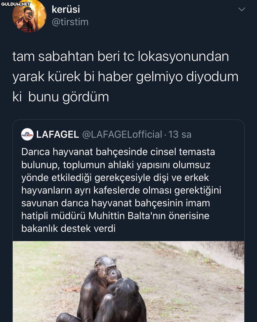 kerüsi @tirstim tam...