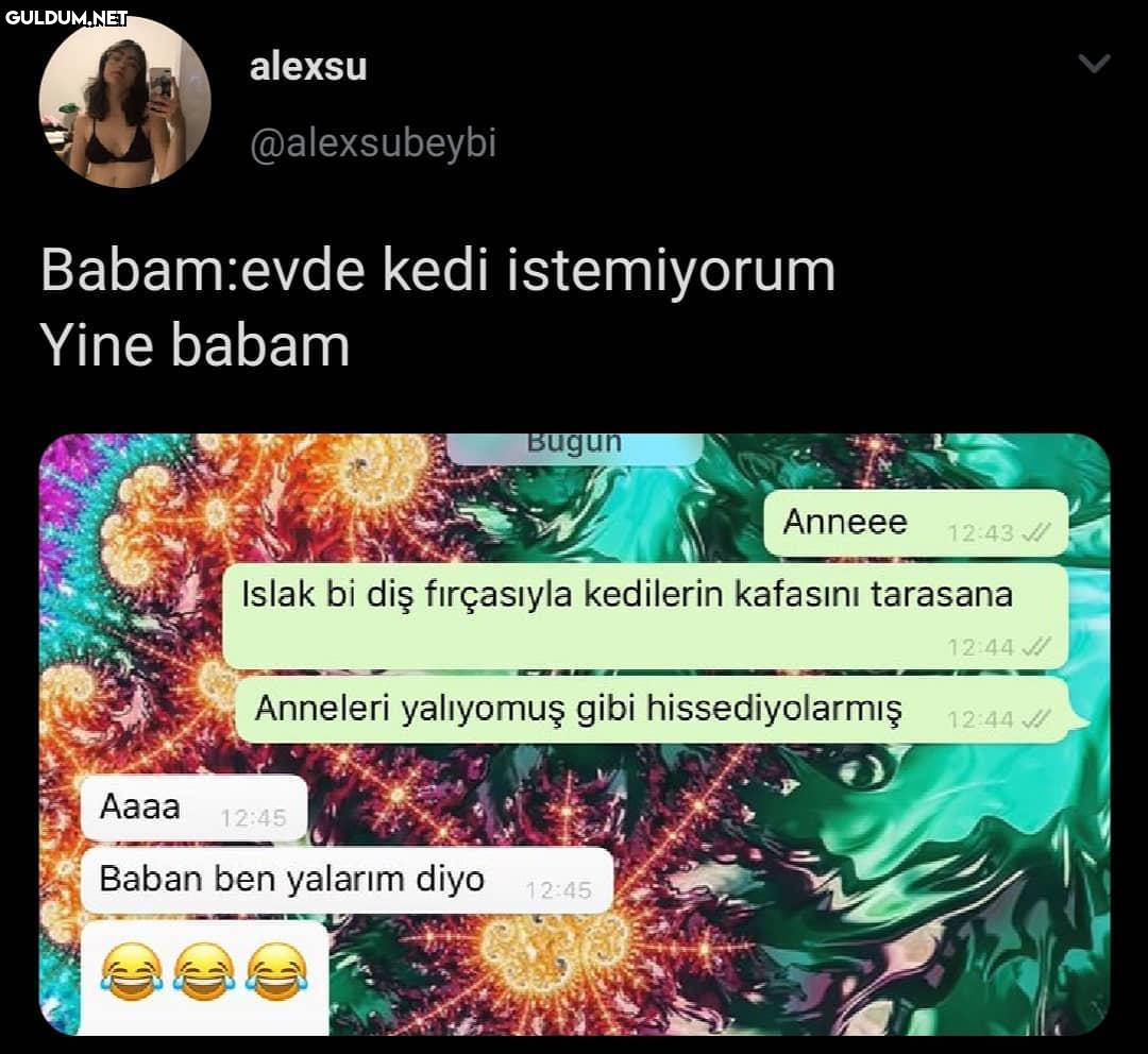 Lansşcmxixmşdclşd alexsu...