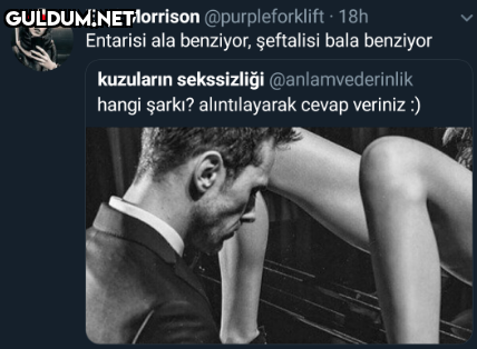 Ezgi Morrison...