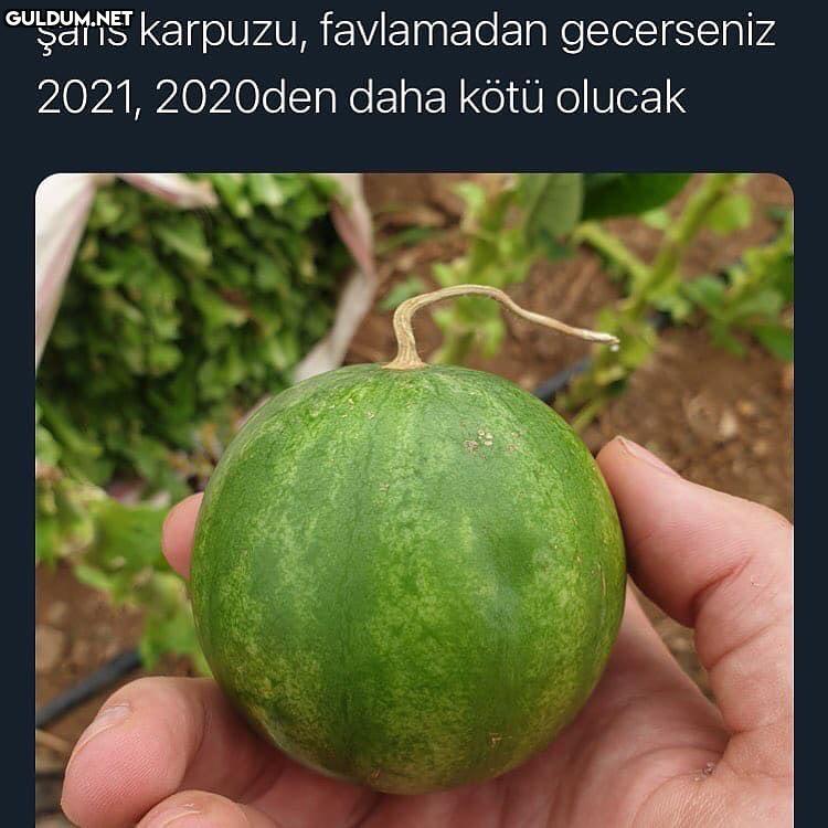 şans karpuzu, favlamadan...