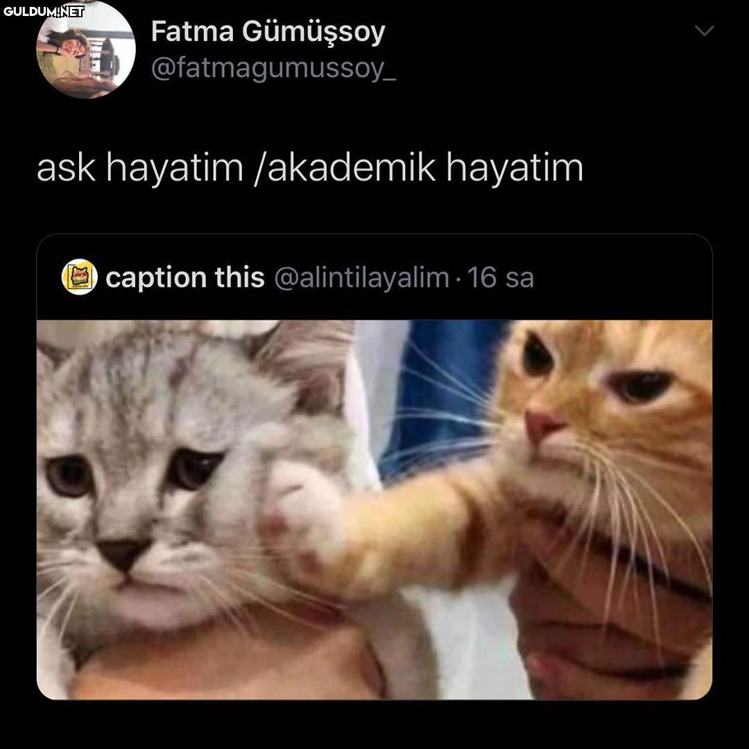 Fatma Gümüşsoy...