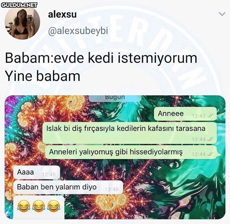 "o kedi bu eve girerse ben...
