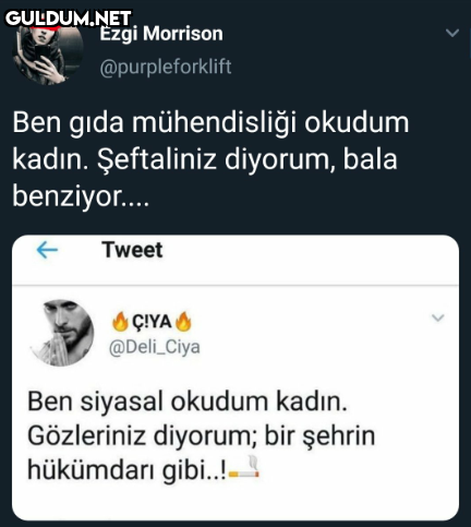 Ezgi Morrison...