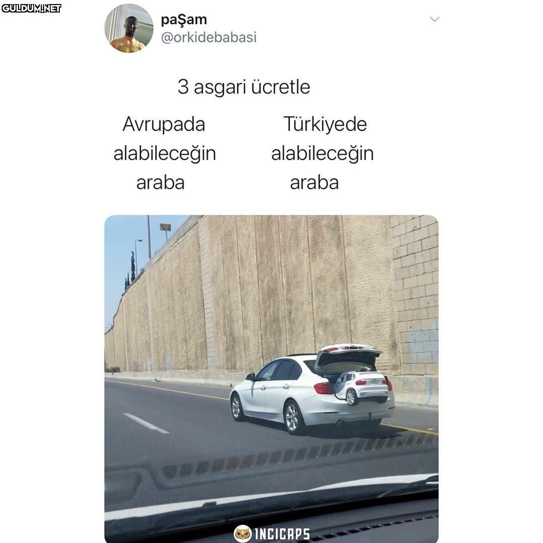 paşam @orkidebabasi 3...