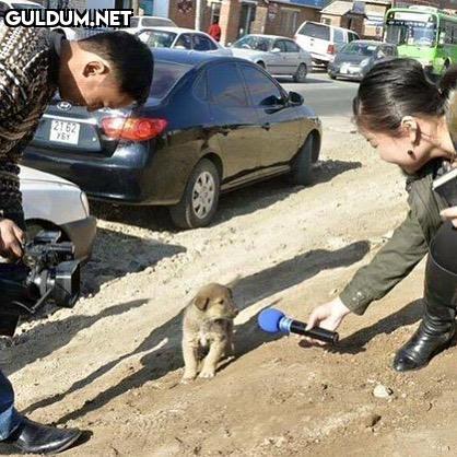 öncelikle sivasımız...