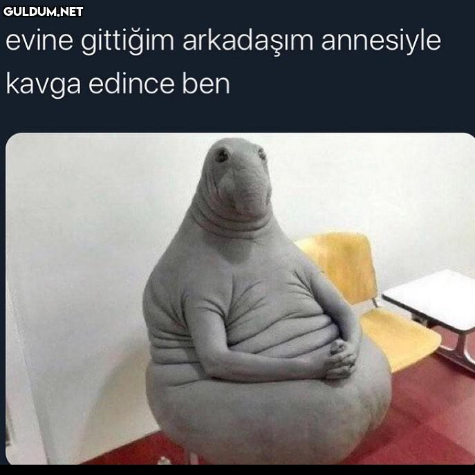 Bunu yaşamayan yoktur...