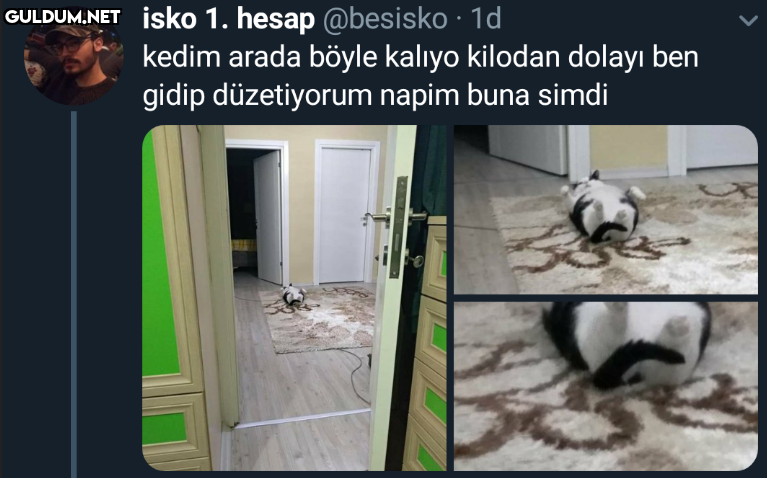 isko 1. hesap @besisko ·...