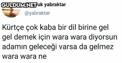 dj kufuk yabraktar...