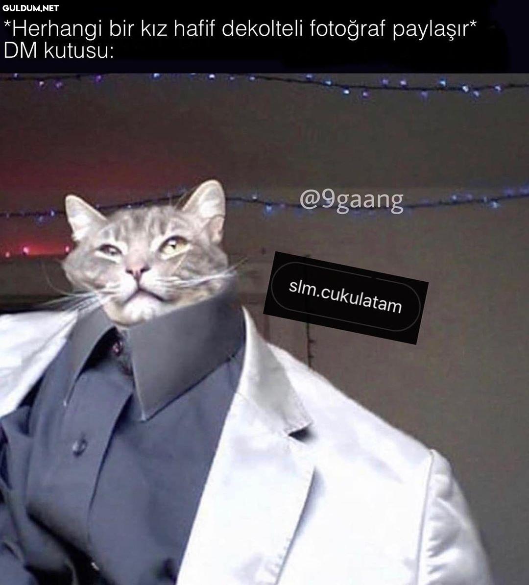 *Herhangi bir kız hafif...