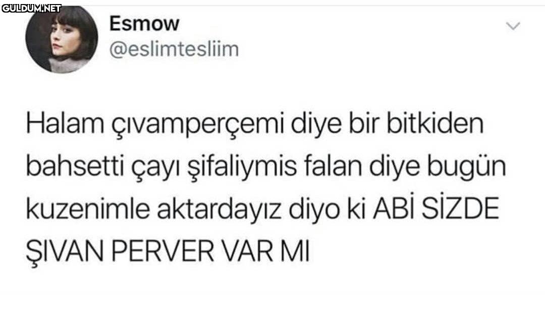 RT @mevzukurtlere1:  ...