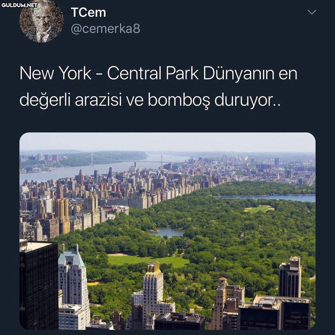 TCem @cemerka8 New York -...