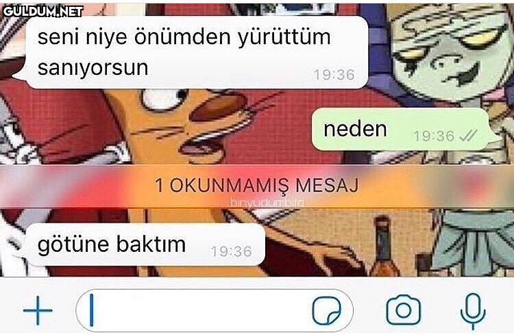 hayda via...