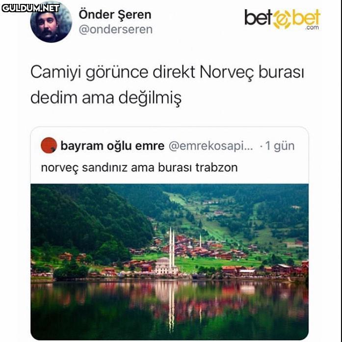 Aynen ben de Norveç...