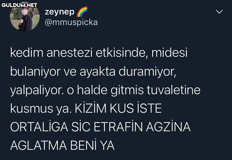 zeynep @mmuspicka kedim...